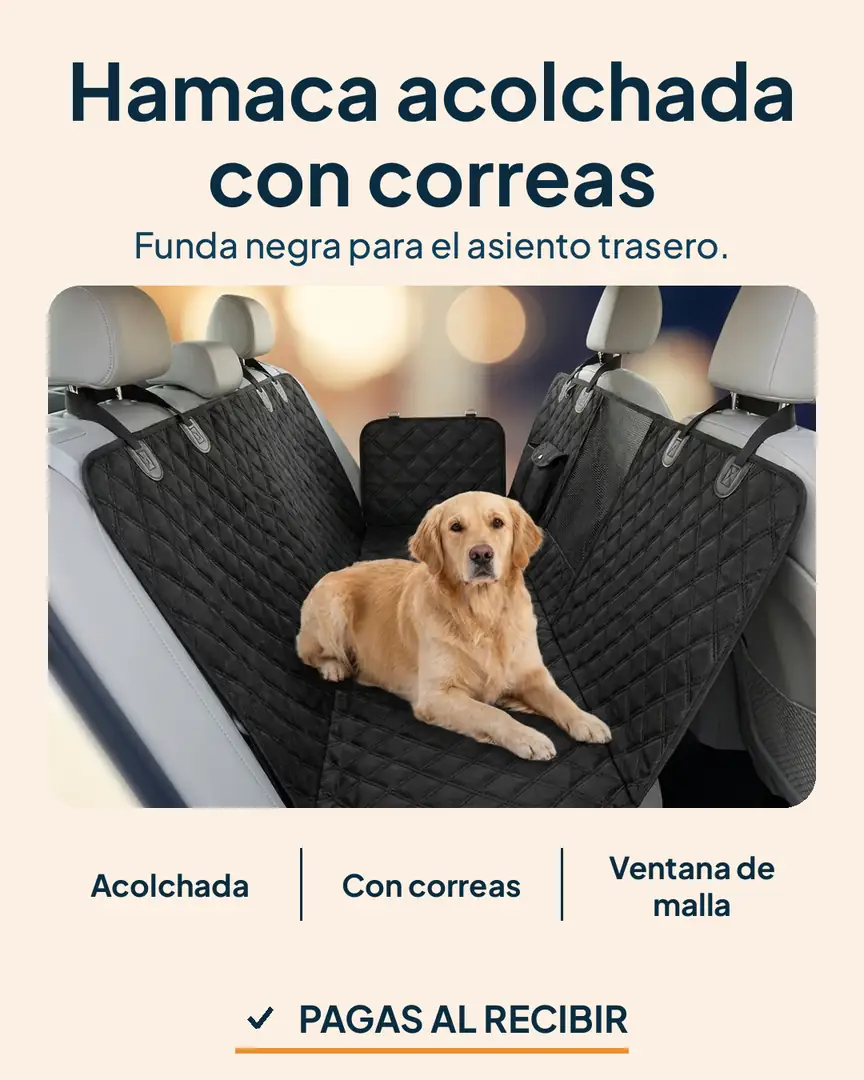 Protector de asiento de carro para mascotas: Perro relajado sobre la funda negra en el carro