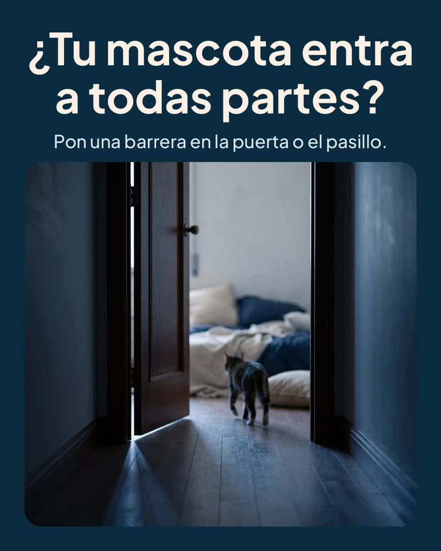 Barrera retráctil de seguridad para mascotas: Pasillo en penumbra con una puerta abierta