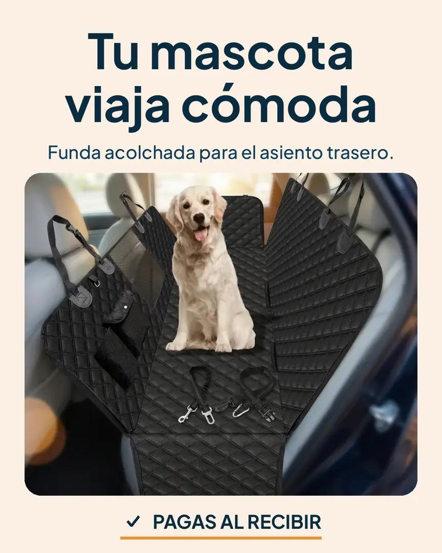 Protector de asiento de carro para mascotas: Perro sentado sobre la funda acolchada en el asiento trasero