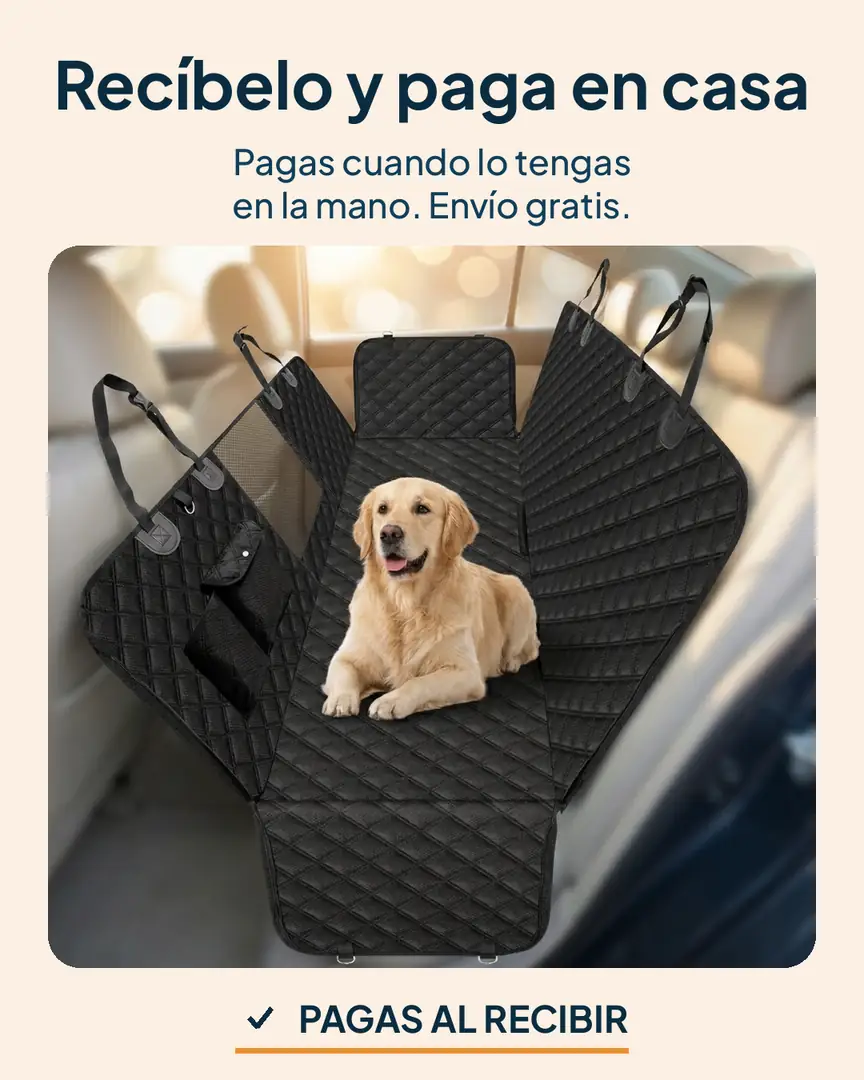Protector de asiento de carro para mascotas: Perro tranquilo descansando sobre la funda en el carro
