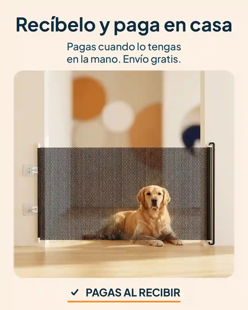 Barrera retráctil de seguridad para mascotas: Perro tranquilo detrás de la barrera en un pasillo