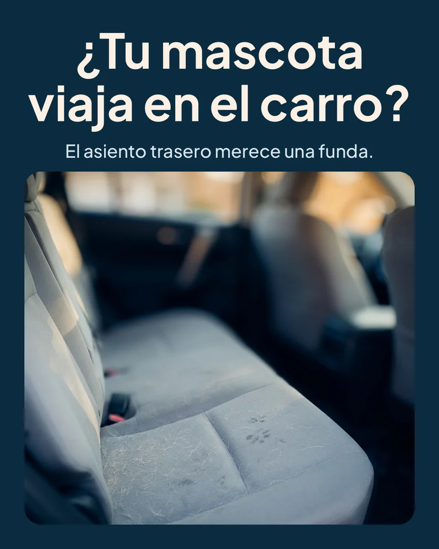 Protector de asiento de carro para mascotas: Asiento trasero de carro con pelos de mascota