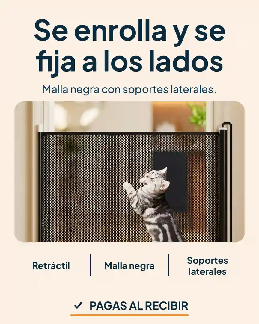 Barrera retráctil de seguridad para mascotas: Gato curioso frente a la barrera de malla negra