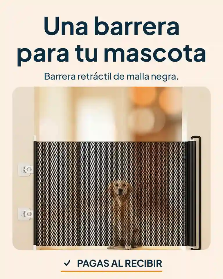 Barrera retráctil de seguridad para mascotas: Barrera retráctil en un pasillo con un perro sentado